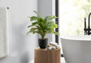 17" Tall Artificial Dracaena Plant, Indoor Faux Greenery by HouseOfZazla