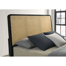 Anser - Bed