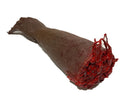 Bloody Freshly Severed Arm - Rubber with Realistic Gore Effects - Dark