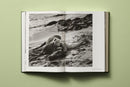 Bruce Weber. My Education (German, French, English)