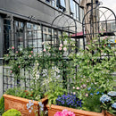 Metal Garden Rustproof Trellis For Climbing Plants Outdoor Flower Support by HouseOfZazla