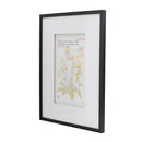 Wall Arts (Set of 2) - Multicolor by Unique Piece Furniture