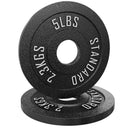 Synergee Standard Metal Weight Plates
