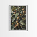 Fig Painting Print - Framed Canvas - Fig Oil Painting, Fig Painting, Kitchen Decor, Rustic Farmhouse, Minimalist Home Decor