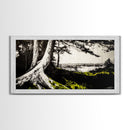 Forest Tree, Ocean View, Coastal Landscape, Canvas Print, Nature Wall Art, Black and White Art, Cabin Wall Decor, Rustic Wall Art