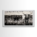 Texas Longhorn, Rustic Farmhouse, Black and White Western Art, Framed Canvas Print, Country Home Decor, Rustic Living Room Wall Art