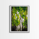 Birch Trees, Green Forest Art, Nature Landscape, Abstract Painting, Contemporary Wall Decor, Earthy Home Art, Framed Canvas Print