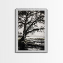 Tree Silhouette, Black White Art, Canvas Print, Dramatic Landscape, Coastal Wall Art, Nature Scene, Monochrome Decor, Minimalist Art