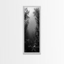 Kelp Forest, Underwater Light, Ocean Depths, Canvas Print, Bathroom Wall Art, Marine Inspired Decor, Nature Photography, Minimalist Style