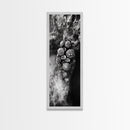 Tide Pool Life, Sea Creatures, Textured Nature, Ocean Details, Shell Art, Framed Canvas Print, Bathroom Wall Art, Coastal Boho Vibes
