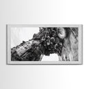 Coastal Texture, Tidepool Abstract, Modern Ocean Nature, Framed Canvas Print, Bathroom Wall Art, Marine Minimalist Photography