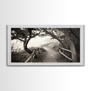Ocean Cliff Path, Framed Trail Trees, Coastal Escape Scene, Framed Canvas Print, Boho Bedroom or Peaceful Hallway Wall Art, Entryway Accent