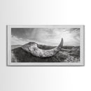Driftwood Horn Curve, Coastal Nature Art, Whale Bone Decor, Beachside Minimalism, Canvas Print, Entryway Wall Art, Nautical Rustic Decor