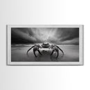 Fierce Crab, Coastal Storm, Ocean Mood, Dramatic Shore, Framed Canvas Print, Bathroom Wall Art, Beach House Decor, Marine Photography