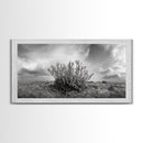 Desert Coral Plant, Dry Earth Botanical, Surreal Nature Texture, Minimal Wild Scene, Canvas Print, Office Wall Art, Earthy Decor