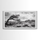Twisted Tree, Desert Landscape, Surreal Nature, Canvas Print, Rustic Western Decor, Living Room Wall Art, Moody Earth Tones, Fall Aesthetic