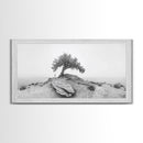 Solitary Tree, Minimalist Nature, Desert Landscape, Canvas Print, Modern Home Decor, Neutral Wall Art, Entryway Accent, Calm Mood Art