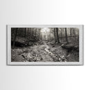 Forest Stream, Tranquil Woodland Path, Autumn Nature Photography, Framed Canvas Print, Rustic Cabin Decor, Living Room Wall Art