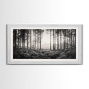Forest Light Scene, Tall Trees Shadows, Nature Mist Pathway, Framed Canvas Print, Woodland Bedroom Art, Boho Rustic Wall Decor