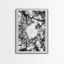 Forest Canopy View, Tree Tops Art, Nature Sky Print, Framed Canvas Print, Bedroom Wall Art, Minimalist Nature, Modern Rustic Decor