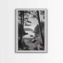 Woodland Cove Path, Tranquil Forest Scene, Nature Escape Art, Canvas Print, Cabin Wall Art, Coastal Boho Decor, Black White Landscape