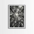 Tree Canopy, Forest Light, Upward View, Canvas Print, Woodland Wall Art, Living Room Decor, Nature Perspective Photography