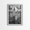 Lupine Flower Field, Bold Floral, Spring Nature Scene, Framed Canvas Print, Boho Living Room Art, Botanical Wall Decor