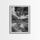 Tropical Palm, Reflected Sky, Nature Tranquility, Canvas Print, boho wall decor, bathroom art, tropical reflection photography