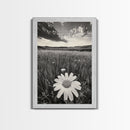 Wildflower Field, Daisy Bloom, Summer Meadow, Framed Canvas Print, Boho Botanical Wall Art, Bedroom Decor, Earthy Nature Photography
