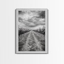 Vineyard Rows, Cloudy Skies, Countryside Path, Canvas Print, Farmhouse Wall Art, Kitchen or Dining Decor, Rustic Landscape Photo