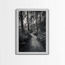 Fern Pathway, Enchanted Forest, Woodland Trail, Framed Canvas Print, Nature Walk Wall Art, Boho Bedroom Decor, Moody Landscape Style