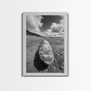 Whale Bone, Coastal Find, Ocean Relic, Framed Canvas Print, Seaside Wall Art, Beach House Decor, Nautical Minimalist Photography