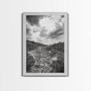 Sandy Trail, Ocean Path, Windy Grass, Moody Sky, Framed Canvas Print, coastal nature photography, hallway decor, rustic neutral art