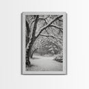 Snowfall Trees, Winter Forest, Nature Pathway, Canvas Print, Holiday Season Decor, Cozy Living Room or Cabin Wall Art