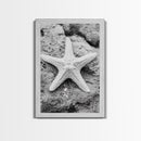 Starfish Closeup, Coastal Shell, Beach Texture, Framed Canvas Print, Bathroom or Ocean Nursery Decor, Minimal Beach Art