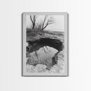Reflected Trees Pool, Black White Nature, Moody Autumn Wall Art, Rustic Minimalist Style, Framed Canvas Print, Entryway Home Decor