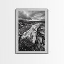 Rocky Terrain Driftwood, Weathered Wood Scene, Outdoor Adventure Art, Modern Rustic Decor, Framed Canvas Print, Earthy Tones Photography