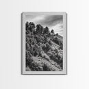 Hillside Forest, Peaceful Pines, Mountain Light, Framed Canvas Print, Nature Wall Art, Cabin Decor, Woodland Landscape Scene