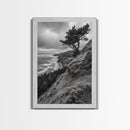 Lone Tree, Ocean Bluff, Windy Coastline, Canvas Print, Coastal Landscape Wall Art, Moody Nature Decor, Minimalist Vibe, Coastal Wall Art