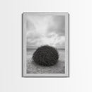 Windswept Beach Nest, Natural Sculpture, Driftwood Ball, Solitude Scene, Canvas Print, Minimalist Wall Art, Neutral Bedroom Decor