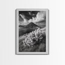 Majestic Volcano, Wild Grass, Black and White, Framed Canvas Print, Nature Photography, Office Decor, Moody Art, Rustic Wall Art