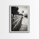 Palm Fence, California Pathway, Suburban Tranquility, Canvas Print, Outdoor Wall Art, Neutral Tones, Modern Minimalist Home Vibe
