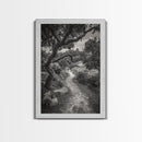 Forest Path, Twisting Trees, Nature Trail Scene, Framed Canvas Print, Earthy Wall Art, Boho Woodland Decor, Entryway or Hallway Accent