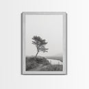 Leaning Tree Path, Soft Fog Scene, Calm Landscape, Canvas Print, Serene Entryway Wall Art, Nature Photography, Minimalist Decor
