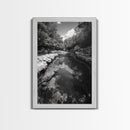 River Reflection, Nature Calm, Forest Stream, Canvas Print, Black and White Landscape Wall Art, Rustic Bathroom Decor, Tranquil Home Vibe