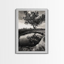 Tree Reflection, Still Water, Peaceful Nature, Framed Canvas Print, Tranquil Wall Art, Rustic Bedroom Decor, Black and White Photography
