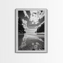 Dragonfly Flight, Beach View, Nature Dream, Framed Canvas Print, Whimsical Wall Art, Surreal Living Room Decor, Black and White Nature Style