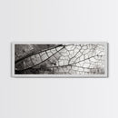 Macro Insect Wing, Abstract Nature Texture, Modern Neutral Wall Decor, Framed Canvas Print, Office Art, Monochrome Macro Photography