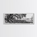 River Tree Roots, Tranquil Forest Landscape, Nature Wall Decor, Framed Canvas Print, Living Room Art, Black and White Earthy Style