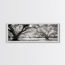 Sprawling Trees, Oak Forest, Sunlit Canopy, Majestic Branches, Canvas Print, Nature Wall Art, Boho Decor, Living Room Statement Piece